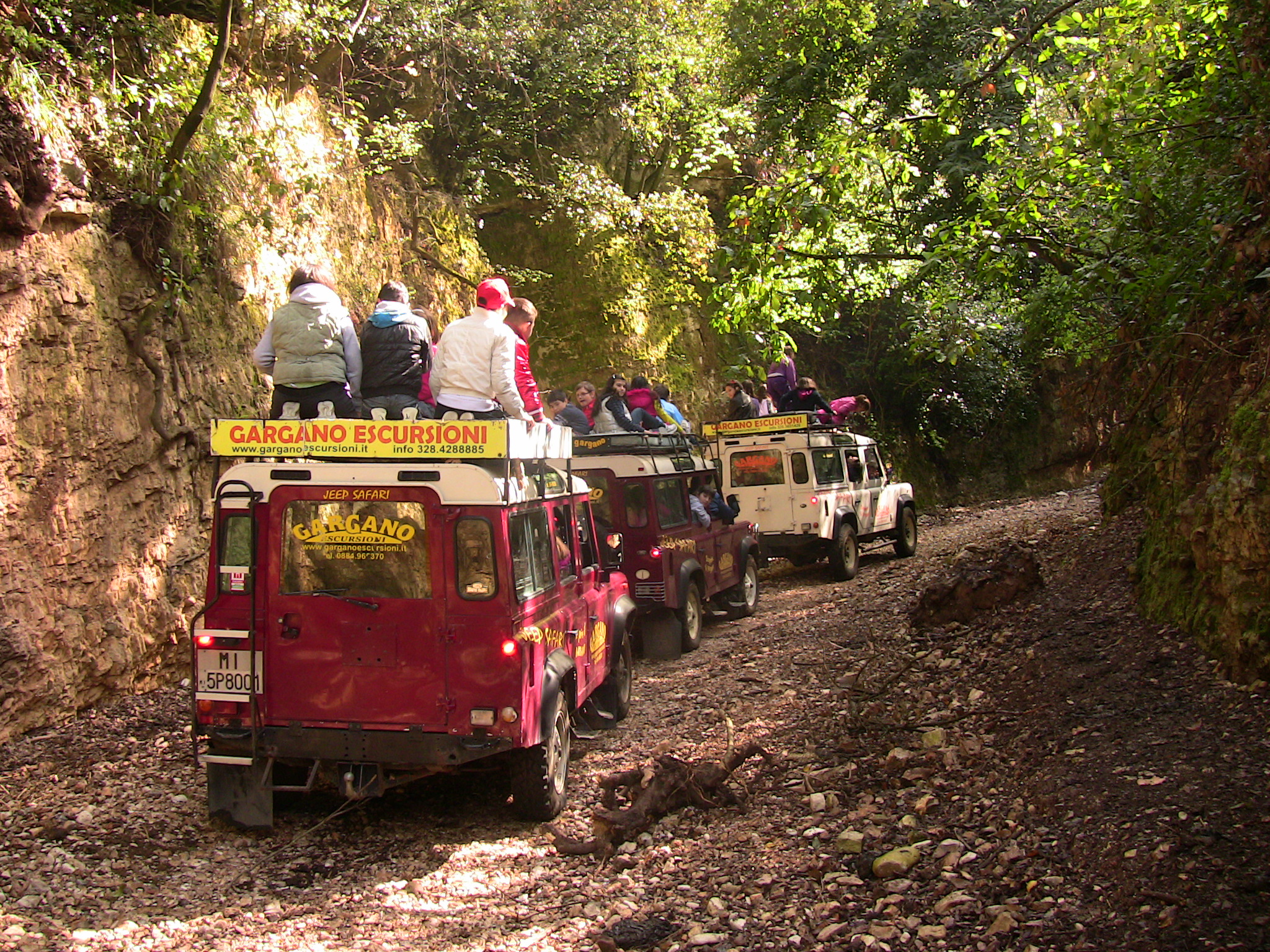 jeep safari rodi garganico