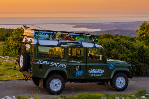 jeep safari rodi garganico